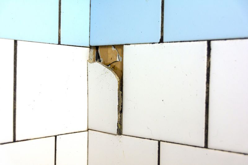 Wall Tile Repair detail